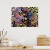 フォレストフロア ポスター (キッチン)