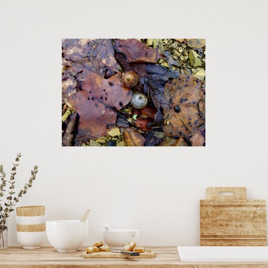 フォレストフロア ポスター (キッチン)