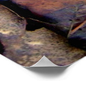 フォレストフロア ポスター (角)