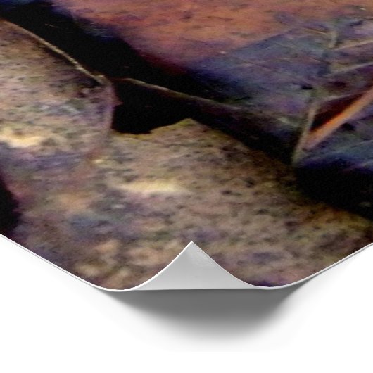 フォレストフロア ポスター (角)