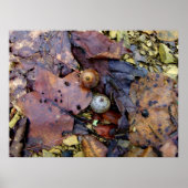 フォレストフロア ポスター (正面)