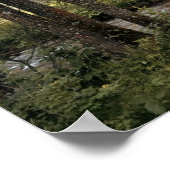 フォレストブリッジクリークポスター ポスター (角)