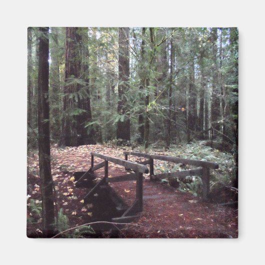 フォレストブリッジ – ハンボルトレッドウッズ州パーク マグネット (正面)