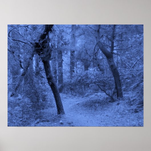 フォレストブルース ポスター (正面)