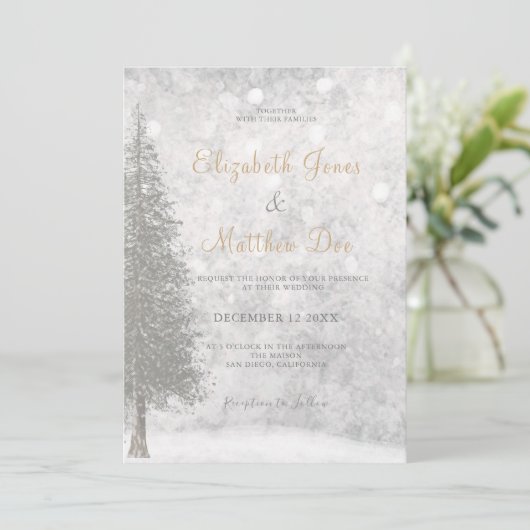 フォレストマウンテンウィンターパイン結婚ズ 招待状 (スタンド正面)