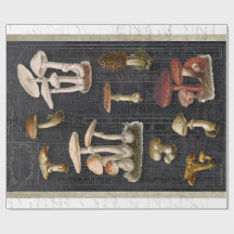 フォレストマッシュルームコテージエフェメラブラックデクページ