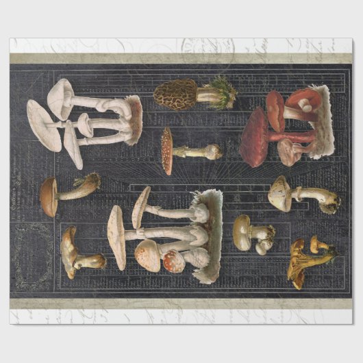 フォレストマッシュルームコテージエフェメラブラックデクページ ラッピングペーパー (フラット)