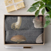 フォレストマッシュルームコテージブラックエフェメラデクページ 薄葉紙 (ギフト)