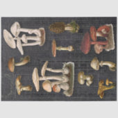 フォレストマッシュルームコテージブラックエフェメラデクページ 薄葉紙 (正面)