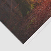 フォレストライト17デコページティッシュペーパー 薄葉紙 (詳細)