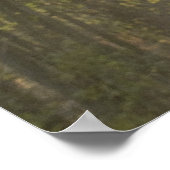 フォレストライト ポスター (角)