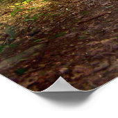 フォレストライト ポスター (角)