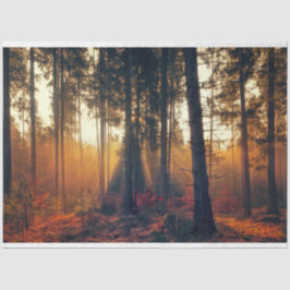 フォレストランドスケープ18デコページティッシュペーパー 薄葉紙