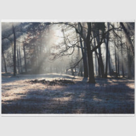 フォレストランドスケープ23デコページティッシュペーパー 薄葉紙