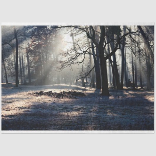 フォレストランドスケープ23デコページティッシュペーパー 薄葉紙 (正面)