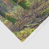 フォレストランドスケープ25デコページティッシュペーパー 薄葉紙 (詳細)