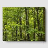 フォレストリゾートレンタルゲストブック ゲストブック (裏面)