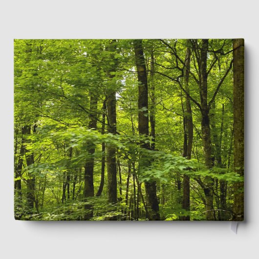 フォレストリゾートレンタルゲストブック ゲストブック (裏面)