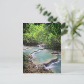 フォレストリバーラグーン、コウンSi秋、ラオス ポストカード (スタンド正面)