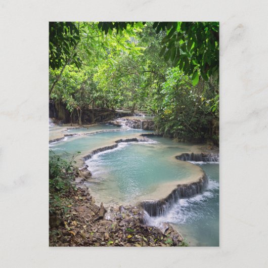 フォレストリバーラグーン、コウンSi秋、ラオス ポストカード (正面)