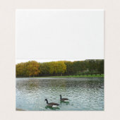 フォレストレイク。アヒル。 (外部フラット)