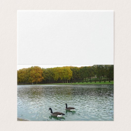 フォレストレイク。アヒル。 (外部フラット)