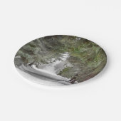 フォレストロードスノーパインツリーズ写真 ペーパープレート (アングル)