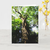 フォレスト内の大きな木を調べる-グリーティングカード カード (黄色い花)