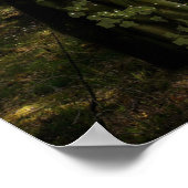 フォレスト妖精の国 ポスター (角)