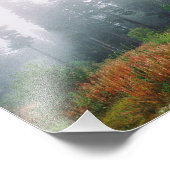 フォレスト朝、コダックプロフェッショナルP フォトプリント            (角)