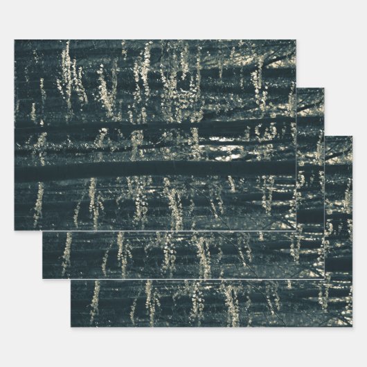 フォレスト自然フォトラッピング紙シート ラッピングペーパーシート (セット)