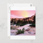 フォレスト荒野エルドラド ポストカード (正面/裏面)