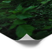 フォレスト3 ポスター (角)