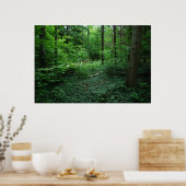 フォレスト3 ポスター (キッチン)