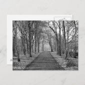 フォレスト、黒/白 ポストカード (正面/裏面)
