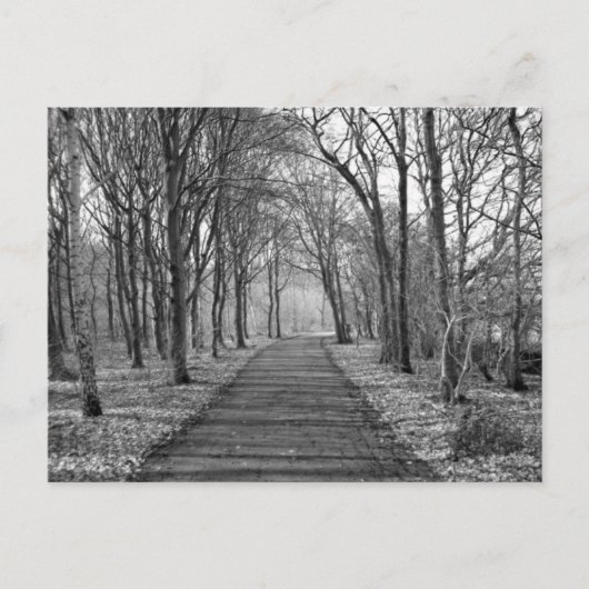 フォレスト、黒/白 ポストカード (正面)