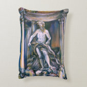 フォンタナディトレヴィローマイタリア アクセントクッション (裏面(縦))