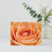 フォンハーゼインダンケシュン ポストカード (スタンド正面)