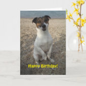 フォン・オッペンハイム・ジャック・ラッセル・テリア・ドッグ カード (黄色い花)