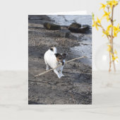 フォン・オッペンハイム・ジャック・ラッセル・テリア・ドッグ カード (黄色い花)