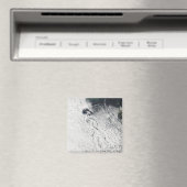 フォン・カルマン雲渦 マグネット (インサイチュ (食洗機))