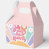 フォーエバーグルーヴィレトロサンシャインレインボーデイジー フェイバーボックス (正面)