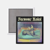 フォーエバーゾロ！マグネット マグネット (正面/裏面)