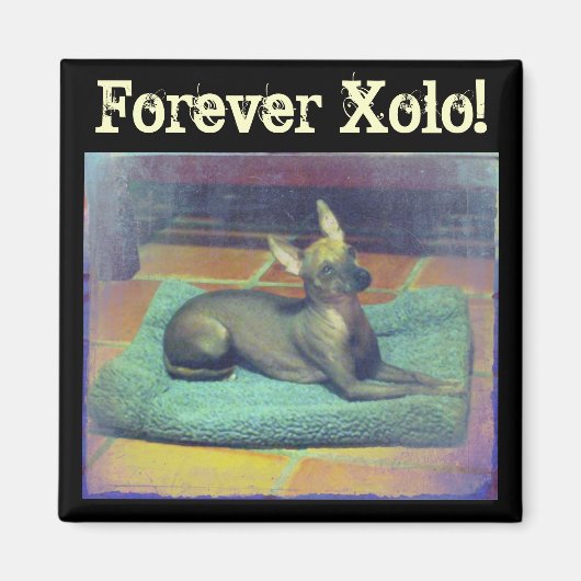 フォーエバーゾロ！マグネット マグネット (正面)