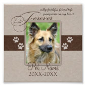 フォーエバーパーラディペット悔やみや弔慰カスタム フォトプリント (正面)