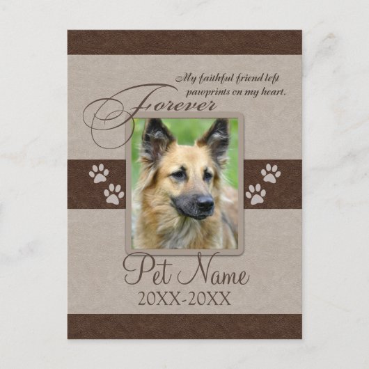フォーエバーパーラディペット悔やみや弔慰 案内ポストカード (正面)