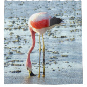 フォーエバーフラミンゴ シャワーカーテン (正面)