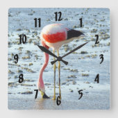 フォーエバーフラミンゴ スクエア壁時計 (正面)