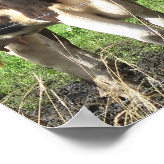 フォーエバーフレンズカウポスターギフト ポスター (角)