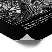 フォーエバーフレンドシップ,カナダパイン,ファインアート ポスター (角)